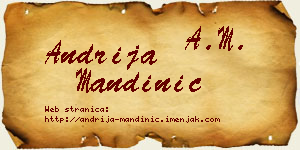 Andrija Mandinić vizit kartica